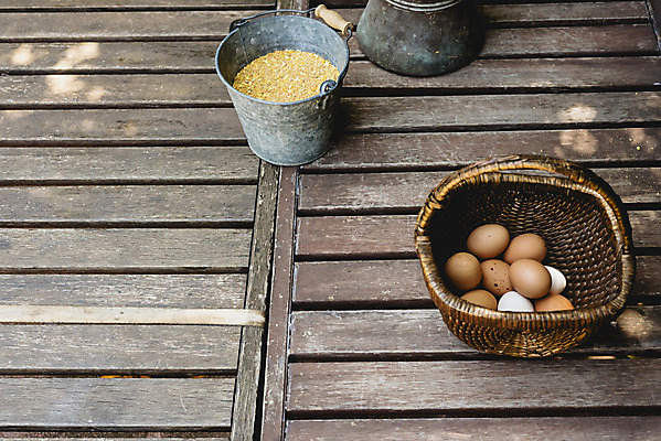 포토 JPG 해외이미지 음식 건강 사람없음 갈색 계란 신선 상품 양동이 유기농 날것 내추럴 해외202004 해외포토 웰빙 컬러 알 파일형식