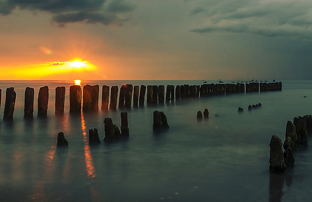 포토 JPG 해외이미지 바다 백그라운드 자연 갈매기 하늘 풍경 사람없음 빨간색 빛 햇빛 태양 노란색 일출 황혼 일몰 수평선 해외202004 해외포토 자연요소 컬러 조류 노을 생태계 파일형식