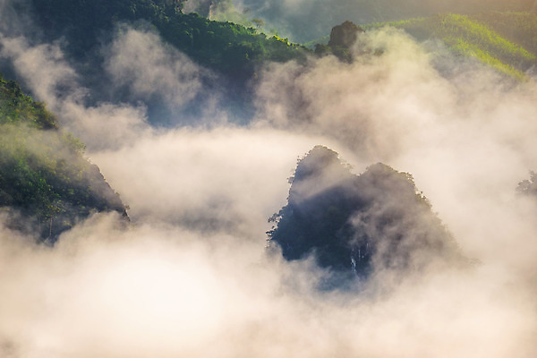 포토 JPG 해외이미지 나무 구름 계절 여행 백그라운드 겨울 태국 자연 하늘 아침 날씨 산 파노라마 풍경 사람없음 초록색 여름 파란색 컬러풀 햇빛 태양 노란색 일출 환경 계곡 일몰 봄 새벽 안개 가을 흰색 시골 숲 언덕 내추럴 넘어짐 뿌연 절정 해외202004 해외포토 주간 자연요소 식물 아시아 컬러 모션 촬영기법 노을 생태계 파일형식
