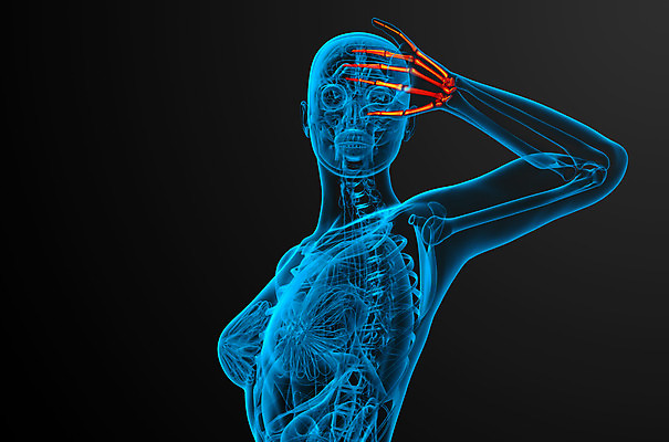 포토 JPG 해외이미지 손 손가락 해부 뼈 골격 건강 손바닥 사람 사람없음 고통 관절염 골다공증 해외202004 해외포토 감정 의학 신체부위 질병 파일형식