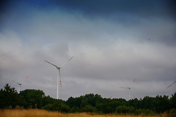 포토 JPG 해외이미지 산업 백그라운드 자연 하늘 바람 풍경 사람없음 초록색 물 여름 파란색 태양 농장 3D 탑 힘 봄 재활용 풍차 발전기 에너지 회전 세대 개발 해외202004 해외포토 자연요소 건축물 계절 컬러 농업 날씨 발전소 디지털합성 친환경 생태계 파일형식