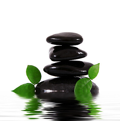 포토 JPG 해외이미지 컨셉 잎 휴식 사람없음 물 쌓기 스파 흰배경 해외202004 해외포토 자연요소 식물 백그라운드 모션 흰색 파일형식