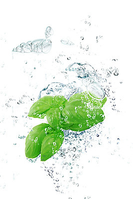 포토 JPG 해외이미지 음식 조각 컨셉 농업 채소 과일 모션 실내 식이요법 사람없음 물 주방 힘 거품 폭포 젖음 추위 신선 액체 개울 떨어짐 흰배경 유기농 분무기 바질 고립 바이오 스플래쉬 해외202004 해외포토 자연요소 웰빙 산업 백그라운드 자연 건강 내부 강 흰색 파일형식