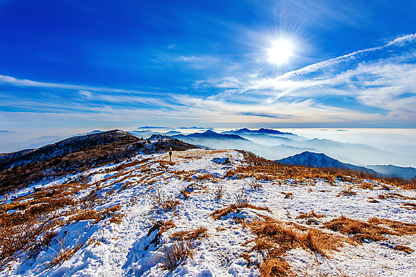 포토 JPG 해외이미지 나무 공원 백그라운드 겨울 자연 벽지 하늘 날씨 산 서울 한국 요정 이야기 풍경 사람없음 태양 맑음 얼음 추위 안개 사찰 닫기 숲 묘사 언덕 전국 절정 눈내림 해외202004 해외포토 자연요소 식물 계절 공공시설 아시아 종교건축 모션 눈_날씨 생태계 파일형식