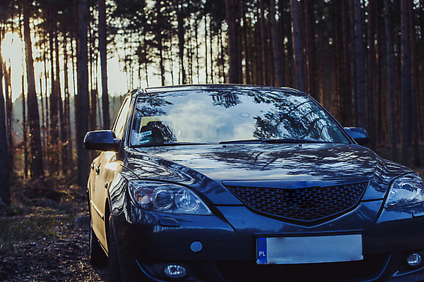 포토 JPG 해외이미지 나무 커플 스포츠 여행 결혼 백그라운드 교통시설 자동차 자연 미술 사람없음 초록색 여름 유행 봄 수확 골동품 클래식 숲 출장 복고 옛날 자동 국경 해외202004 해외포토 식물 계절 육상교통 컬러 교통 컨셉 농업 비즈니스 관계 문화예술 이벤트 시설 생태계 파일형식