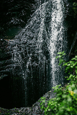 포토 JPG 해외이미지 공원 여행 잎 자연 풍경 사람없음 야외 초록색 물 강 환경 침묵 폭포 젖음 바위 신선 개울 재산 호주 떨어짐 숲 열대우림 내추럴 생태학 전국 해외202004 해외포토 자연요소 식물 공공시설 교육 컬러 컨셉 금융 소리 돌_바위 오세아니아 생태계 파일형식
