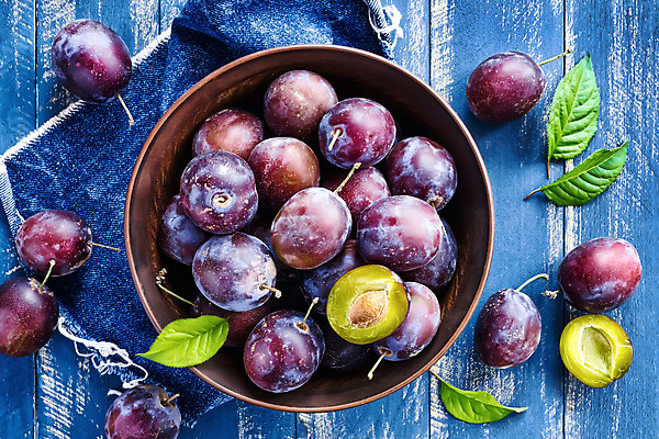 포토 JPG 해외이미지 접시 열매 음식 잎 농업 다이어트 과일 자연 탁자 디저트 건강 요리 사람없음 목재 초록색 주방 정원 보라색 식사 수확 시골 신선 달콤 상품 먹기 오브젝트 상쾌 유기농 날것 자두 내추럴 점심식사 숙성 채식주의자 비건 맛있는 해외202004 해외포토 나무 식물 식기 웰빙 감정 산업 컬러 가구 재료 모션 맛 생태계 채식 파일형식