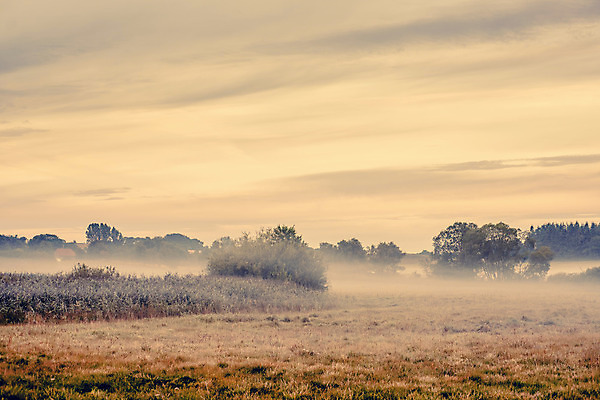 포토 JPG 해외이미지 구름 계절 실루엣 백그라운드 잎 밭 오렌지 자연 하늘 아침 날씨 풍경 초원 사람없음 야외 초록색 여름 빛 컬러풀 햇빛 일출 환경 침묵 황혼 일몰 봄 새벽 활발 안개 가을 전원 시골 땅 제비꽃 속도 장면 내추럴 뿌연 해외202004 해외포토 주간 자연요소 식물 꽃 컬러 컨셉 농업 과일 촬영기법 태양 노을 소리 전기에너지 생태계 파일형식