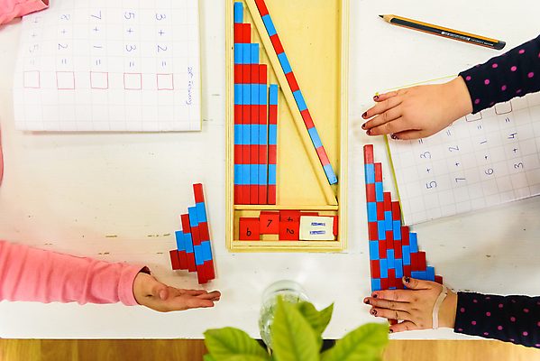 포토 JPG 해외이미지 무료이미지 학생 손 교육 어린이 백그라운드 교실 학교 수업 실내 초등학교 사람없음 신체부위 학습 교구 수학교육 해외202004 해외포토 사람 내부 수학 파일형식 무료콘텐츠