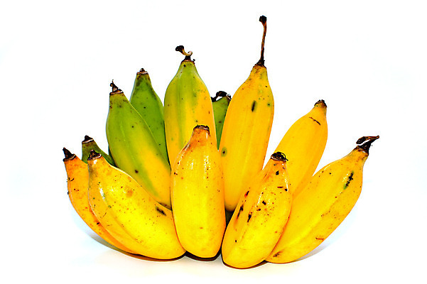 포토 JPG 해외이미지 나무 식물 라이프스타일 선 음식 백그라운드 잎 패턴 농업 다이어트 과일 재료 자연 바나나 건강 사람없음 야외 초록색 여름 빛 농작물 농장 노란색 성장 가을 흰색 신선 그룹 달콤 아침식사 다발 먹기 오브젝트 상쾌 유기농 내추럴 고립 숙성 해외202004 해외포토 웰빙 계절 감정 산업 컬러 무늬 모션 생활 식사 맛 생태계 파일형식