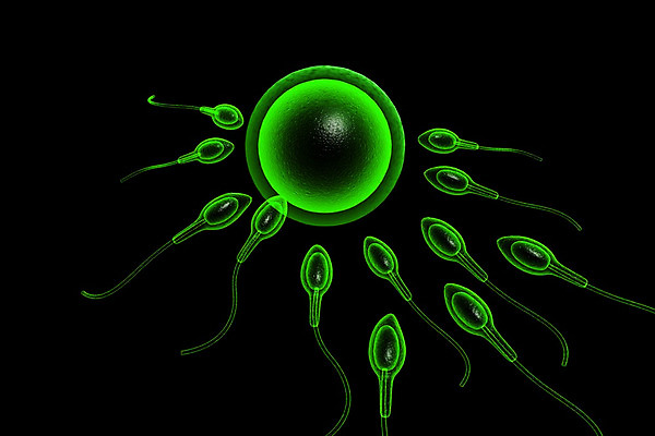 포토 JPG 해외이미지 여자 과학 백그라운드 컨셉 일러스트 세포 건강 창조 사랑 씨앗 사람 사람없음 그래픽 약 3D 디지털 계란 검은색 수영 경쟁 임신 아기 우승 진화 군중 DNA 자주색 생물학 만들기 성별 고립 해외202004 해외포토 레이스천 식물 교육 감정 컬러 의학 모션 알 직물 수상스포츠 최고 생명공학 소방 디지털합성 파일형식