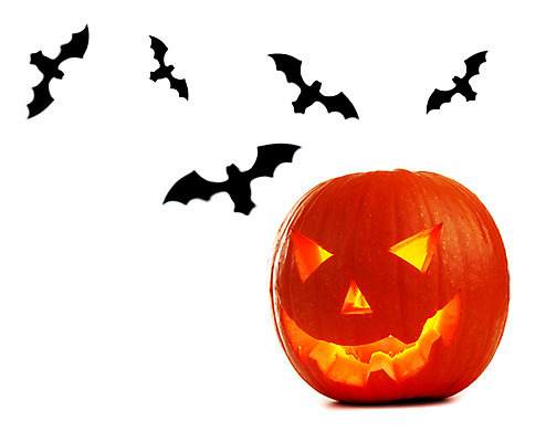 포토 JPG 해외이미지 전통 계절 음식 백그라운드 채소 자연 호박 미소 웃음 사람없음 장식 노란색 파티 할로윈 가을 흰색 등불 축하 표현 유령 무서움 오브젝트 박쥐 10월 잭오랜턴 호러 오싹 해외202004 해외포토 감정 컬러 컨셉 포유류 조명 표정 이벤트 날짜 생태계 공포 파일형식