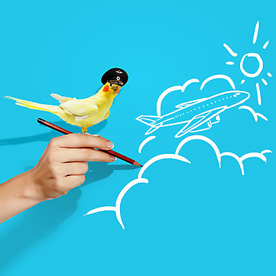 포토 JPG 해외이미지 구름 무료이미지 모자 손 여행 조류 하늘 비행기 들기 신체부위 태양 연필 그리기 파일럿 항공 파란배경 기장 왕관앵무새 해외202004 해외포토 자연요소 동물 직업 잡화 백그라운드 항공교통 모션 학용품 대중교통 사람 파란색 필기구 승무원 앵무새 파일형식 무료콘텐츠