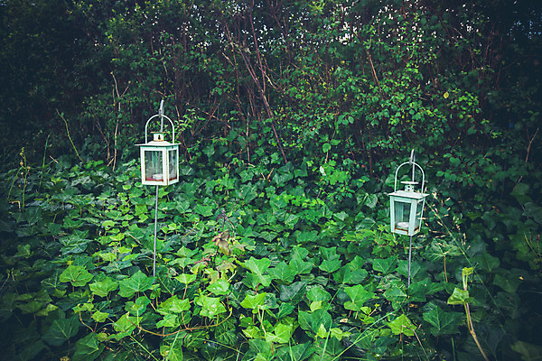 포토 JPG 해외이미지 나무 식물 라이프스타일 디자인 외관 꽃 백그라운드 잎 건축양식 자연 유리 휴식 주택 사람없음 야외 목재 장식 초록색 여름 빛 컬러풀 금속 정원 장비 수확 골동품 가을 시골 등불 램프 배열 오브젝트 복고 포도나무 아이비 리빙 옛날 해외202004 해외포토 계절 건축 컬러 컨셉 농업 재료 재질 조명 건물 생활 과일나무 생태계 파일형식