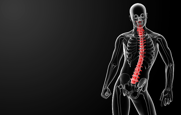 포토 JPG 해외이미지 실루엣 포즈 일러스트 뼈 골격 엑스레이 건강 사람없음 파란색 3D 척추 몸통 염증 요통 해외202004 해외포토 컬러 의학 촬영기법 신체부위 질병 디지털합성 허리통증 파일형식