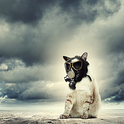 포토 JPG 해외이미지 동물 구름 산업 야생동물 컨셉 공장 자연 추상 건강 이야기 경고 가면 사람없음 반려동물 고양이 에너지 흰색 환경오염 보호 위험 위협 사인 가스 문제 돌봄 방독면 방사선 해외202004 해외포토 자연요소 컬러 무늬 포유류 공업 모션 마스크 생태계 파일형식