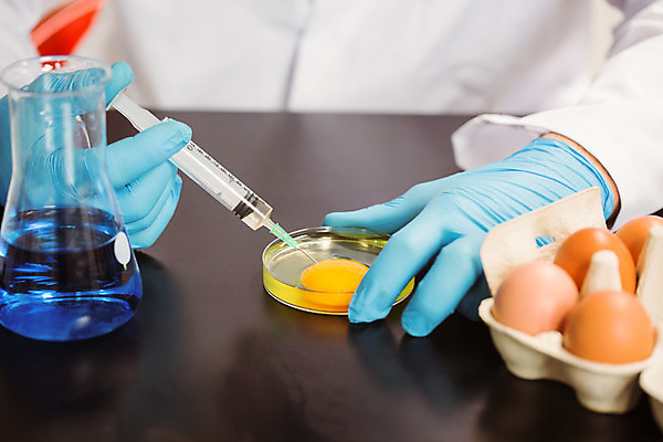 포토 JPG 해외이미지 과학 장갑 실내 실험 주사기 사람없음 약 계란 장비 잡기 실험복 실험실 생명공학 과학자 생물학 미생물 노른자 해외202004 해외포토 직업 잡화 교육 의학 의료기기 모션 생물 내부 알 가운 학자 파일형식