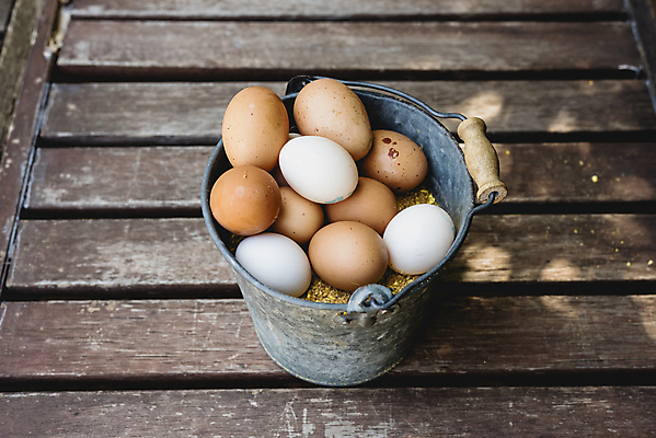 포토 JPG 해외이미지 음식 건강 사람없음 갈색 계란 신선 상품 양동이 유기농 날것 내추럴 해외202004 해외포토 웰빙 컬러 알 파일형식