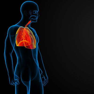 포토 JPG 해외이미지 남자 과학 신체 오렌지 일러스트 해부 실내 건강 사람 사람없음 파란색 3D 투명 오르간 항공 생물학 궤 염증 강조 해외202004 해외포토 교육 컬러 과일 의학 내부 건반악기 질병 디지털합성 파일형식