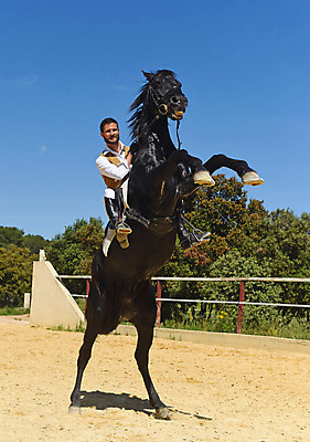 포토 JPG 해외이미지 주간 동물 스포츠 학교 한명 서기 소년 야외 반려동물 경쟁 흰색 말_동물 주인 안장 토막 해외202004 해외포토 자연요소 1 교육 남자 어린이 컬러 컨셉 포유류 모션 사람 파일형식