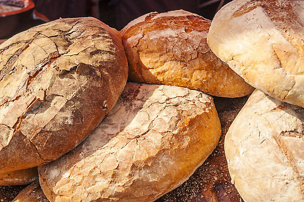 포토 JPG 해외이미지 음식 빵 백그라운드 잎 농업 다이어트 자연 아침 치즈 건강 옥수수 요리 사람없음 초록색 여름 농작물 농장 노란색 케이크 주방 식사 빵집 수확 가을 신선 그룹 닫기 맛 아침식사 낟알 시리얼 밀 먹기 에코 밀가루 내추럴 바이오 숙성 식용 채식주의자 해외202004 해외포토 주간 식물 계절 산업 컬러 컨셉 모션 디저트 유제품 곡류 환경 상점 가루 생태계 채식 파일형식