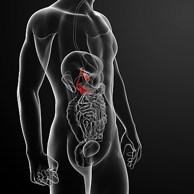 포토 JPG 해외이미지 남자 과학 포즈 신체 오렌지 해부 엑스레이 건강 사람 사람없음 파란색 약 고통 환자 오르간 누드 분석 췌장 해외202004 해외포토 감정 컬러 컨셉 과일 의학 장기_의학 건반악기 파일형식