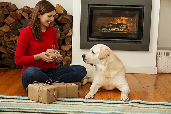 포토 JPG 해외이미지 전신 동물 백인 전통 라이프스타일 계절 여자 행복 컨셉 크리스마스 겨울 가족 주택 선물포장 선물 사랑 한명 들기 사람 앉기 성인 장식 빨간색 반려동물 마주보기 우정 축하 개 래브라도리트리버 벽난로 성인여자한명만 해외202004 해외포토 서양인 1 기념일 감정 컬러 포장 포유류 관계 모션 건물 생활 친구 리트리버 여자한명만 성인여자만 파일형식