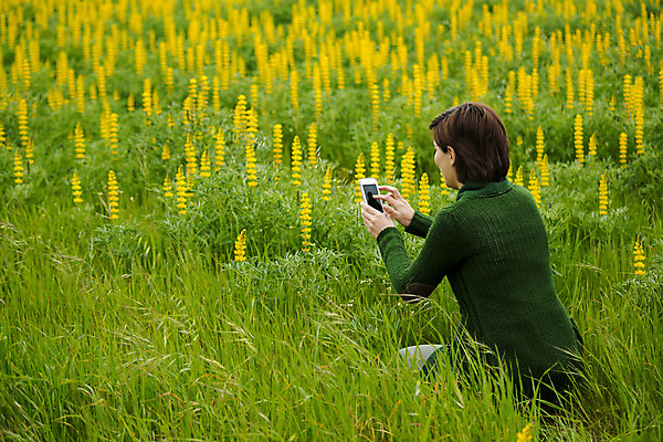 포토 JPG 해외이미지 식물 계절 공원 여자 꽃 자연 한명 들기 앉기 상반신 야외 뒷모습 초록색 스마트폰 핸드폰 컬러풀 노란색 카메라 정원 사진촬영 봄 활발 성장 꽃집 사진사 내추럴 강렬 성인여자한명만 해외202004 해외포토 1 공공시설 뷰포인트 컬러 컨셉 모션 사람 전자제품 스마트기기 상점 촬영 작가 생태계 여자한명만 성인여자만 파일형식