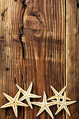 포토 JPG 해외이미지 모양 디자인 별 바다 여행 백그라운드 컨셉 패턴 자연 벽지 휴가 조개 불가사리 연체동물 프레임 해변 사람없음 목재 장식 갈색 어둠 수확 껍질 신용카드 코드 소라 갑판 수집 묘사 질감 엽서 내추럴 앵무조개 옛날 이국적 국경 해외202004 해외포토 자연요소 나무 컬러 무늬 농업 배_교통 재료 어패류 극피동물 무척추동물 금융 편지 생태계 파일형식