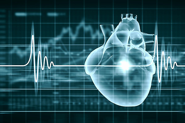 포토 JPG 해외이미지 과학 해부 그래프 스트레스 건강 병원 사람 사람없음 내부 그래픽 약 3D 디지털 스크린 시험 흐름 하트 심장 혈액 오르간 맥박 질병 속도 생물학 순환 감시 외과 돌봄 심장병 심전도 가상 해외202004 해외포토 모양 교육 컨셉 의학 모션 장기_의학 건반악기 디지털합성 파일형식