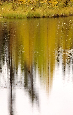 포토 JPG 해외이미지 호수 캐나다 사람없음 컬러풀 반사 노란색 가을 해외202004 해외포토 계절 컬러 북아메리카 파일형식