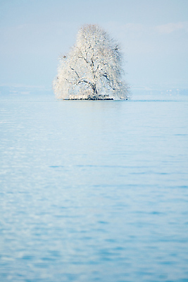 포토 JPG 해외이미지 나무 전통 계절 공원 유럽 도로 길 여행 겨울 하늘 산 풍경 사람없음 야외 세트 추위 무대 쇼 폭풍 포인트 루마니아 해외202004 눈덮임 해외포토 식물 공공시설 나라 컨셉 교통시설 날씨 금융 파일형식