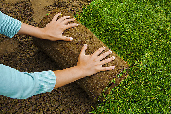 포토 JPG 해외이미지 식물 손 관리 잔디 야외 신체부위 초록색 정원 흙 롤 설치 원예사 해외202004 해외포토 직업 컬러 사람 파일형식
