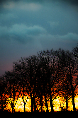 포토 JPG 해외이미지 나무 구름 바다 여행 태국 하늘 풍경 사람없음 야외 빨간색 물 여름 빛 햇빛 태양 일출 황혼 일몰 새벽 휴양지 코코넛 파라다이스 해외202004 해외포토 자연요소 식물 계절 아시아 컬러 과일 노을 장소 파일형식