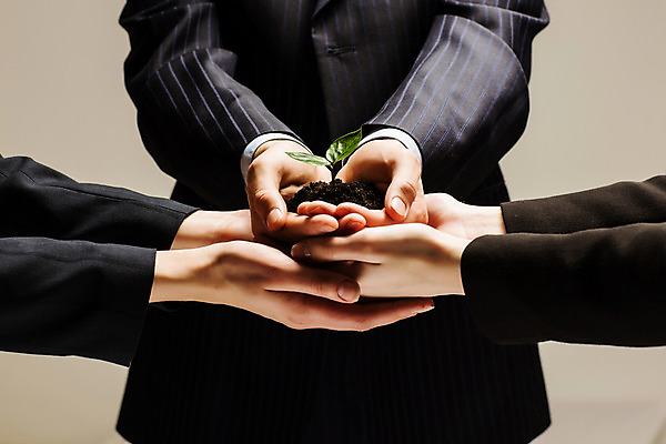 포토 JPG 해외이미지 나무 식물 손 지구 잎 돈 비즈니스 사업가 자연 성공 새로움 손바닥 사람 사람없음 초록색 금융 새싹 환경 흙 성장 재산 닫기 보호 생태계 투자 팔 회계 개발 모종 생태학 투자자 해외202004 해외포토 직업 교육 컬러 컨셉 모션 신체부위 경제 파일형식