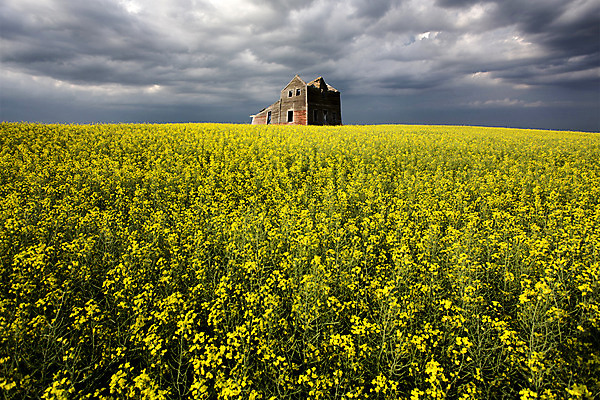 포토 JPG 해외이미지 구름 캐나다 하늘 풍경 사람없음 야외 여름 어둠 위험 폭풍 뇌우 해외202004 해외포토 자연요소 계절 컨셉 북아메리카 날씨 파일형식
