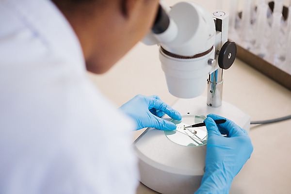 포토 JPG 해외이미지 응시 여자 과학 유리 실내 현미경 실험 한명 20대 약 장비 관찰 잡기 실험복 실험실 생명공학 과학자 생물학 비커 화학물질 화학자 의료성형뷰티 해외202004 해외포토 직업 1 시선 교육 의학 모션 재질 실험기구 사람 청년 내부 가운 화학 학자 파일형식