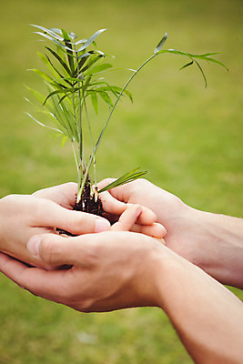 포토 JPG 해외이미지 식물 백인 손 여자 남자 잎 함께함 20대 성인 취미 야외 두명 농장 정원 원예 정원가꾸기 묘목 성인만 정확 해외202004 해외포토 서양인 나무 컨셉 농업 사람 청년 신체부위 파일형식