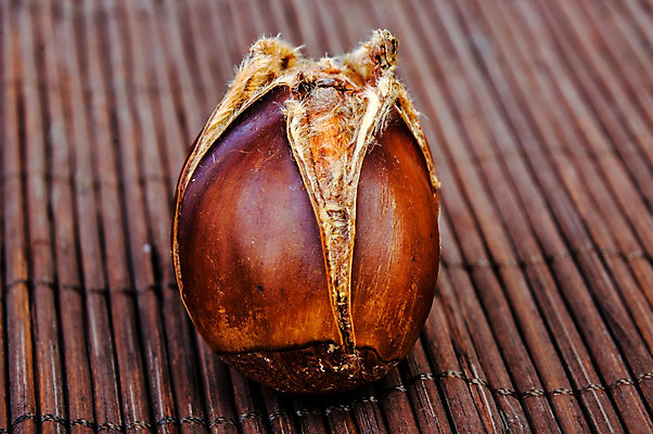 포토 JPG 해외이미지 계절 아시아 음식 여행 채소 과일 재료 요리 씨앗 사람없음 갈색 이탈리아 견과류 가을 시골 오픈 시장 닫기 맛 그릴 밤 숲 11월 굽기 먹기 날것 크로아티아 칠면조 흙더미 헝가리 10월 고립 슬로베니아 인기 해외202004 해외포토 식물 유럽 나라 컬러 컨셉 모션 조류 주방용품 흙 날짜 구이 동유럽 파일형식 더미