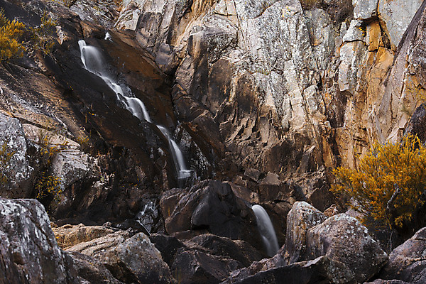 포토 JPG 해외이미지 공원 잎 자연 풍경 사람없음 야외 물 침묵 폭포 신선 호주 떨어짐 내추럴 해외202004 해외포토 자연요소 식물 공공시설 컨셉 소리 오세아니아 생태계 파일형식