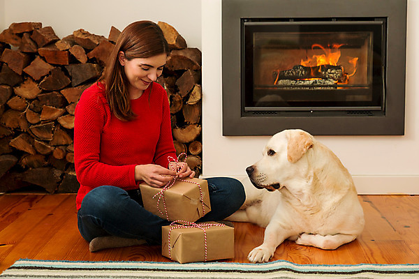 포토 JPG 해외이미지 전신 나무 동물 백인 전통 라이프스타일 계절 여자 행복 종이 컨셉 크리스마스 겨울 가족 탁자 주택 선물포장 선물 사랑 한명 사람 앉기 성인 장식 빨간색 반려동물 우정 덮개 축하 개 래브라도리트리버 벽난로 이벤트의상 포장소품 성인여자한명만 해외202004 해외포토 서양인 식물 1 옷 기념일 감정 컬러 가구 포장 포유류 관계 모션 건물 생활 친구 뚜껑 리트리버 오브젝트 포장재료 여자한명만 성인여자만 파일형식