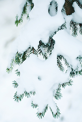 포토 JPG 해외이미지 나무 전통 계절 공원 유럽 도로 길 여행 겨울 자연 하늘 날씨 휴가 스키 산 풍경 사람없음 목재 파란색 세트 평화 마을 정원 얼음 추위 무대 흰색 숲 작음 그림 쇼 장면 폭풍 타운 포인트 루마니아 내추럴 옛날 눈내림 해외202004 눈덮임 해외포토 자연요소 식물 공공시설 나라 컬러 컨셉 재료 교통시설 겨울스포츠 눈_날씨 금융 도시 크기 생태계 파일형식