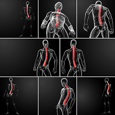 포토 JPG 해외이미지 실루엣 포즈 일러스트 뼈 골격 엑스레이 건강 사람없음 파란색 3D 척추 몸통 염증 요통 해외202004 해외포토 컬러 의학 촬영기법 신체부위 질병 디지털합성 허리통증 파일형식