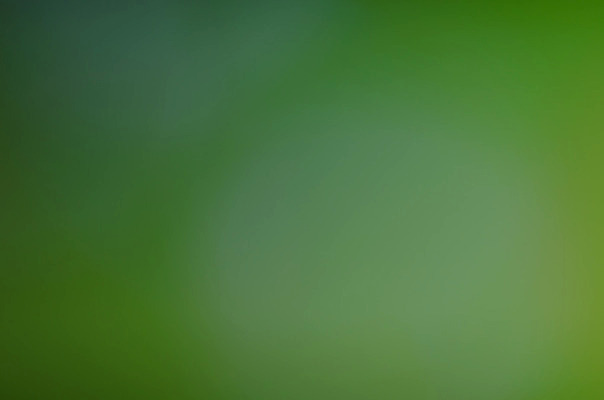 포토 JPG 해외이미지 템플릿 디자인 백그라운드 컨셉 패턴 일러스트 벽지 추상 미술 사람없음 그래픽 장식 초록색 빛 디지털 블러 스펙트럼 엘리먼트 해외202004 해외포토 컬러 무늬 문화예술 파일형식