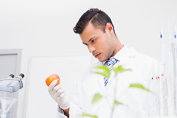 포토 JPG 해외이미지 응시 남자 과학 토마토 실내 실험 한명 20대 약 장비 잡기 실험실 생명공학 과학자 생물학 미생물 해외202004 해외포토 직업 1 시선 교육 채소 의학 모션 생물 사람 청년 내부 학자 파일형식