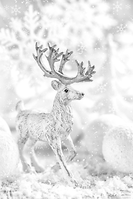 포토 JPG 해외이미지 계절 백그라운드 크리스마스 겨울 공 사슴 새로움 기념 매달리기 사람없음 장식 빛 반짝임 축제 장식볼 흰색 눈송이 우아함 은색 12월 해외202004 해외포토 기념일 컬러 컨셉 포유류 모션 눈_날씨 날짜 파일형식