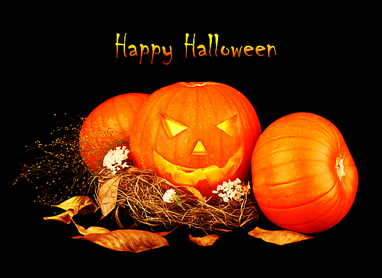 포토 JPG 해외이미지 전통 계절 음식 백그라운드 잎 채소 촛불 자연 호박 미소 웃음 사람없음 장식 노란색 파티 검은색 할로윈 가을 등불 축하 표현 유령 야간 무서움 오브젝트 10월 잭오랜턴 호러 오싹 해외202004 해외포토 자연요소 식물 감정 컬러 컨셉 초 조명 표정 이벤트 날짜 생태계 공포 파일형식