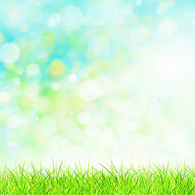 포토 JPG 해외이미지 식물 디자인 계절 공원 꽃 백그라운드 컨셉 잎 꽃무늬 밭 자연 하늘 아침 추상 잔디 초원 사람없음 아웃포커스 초록색 여름 빛 컬러풀 태양 환경 정원 맑음 봄 새벽 신선 닫기 데이지 내추럴 블러 해외202004 해외포토 주간 자연요소 공공시설 컬러 무늬 농업 모션 날씨 촬영기법 생태계 파일형식