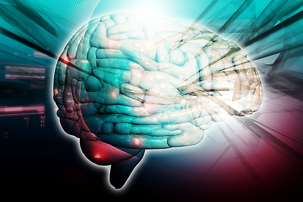포토 JPG 해외이미지 모델 교육 남자 과학 해부 추상 창조 미술 사람 사람없음 그래픽 파란색 머리 3D 검은색 감각 오르간 집중 뇌 클립 문제 정맥 이해 지능 해외202004 해외포토 컬러 컨셉 무늬 의학 문화예술 신체부위 건반악기 디지털합성 혈관 파일형식