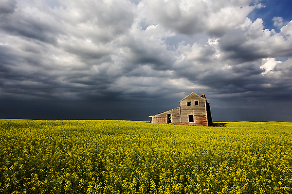 포토 JPG 해외이미지 구름 캐나다 하늘 풍경 사람없음 야외 여름 어둠 위험 폭풍 뇌우 해외202004 해외포토 자연요소 계절 컨셉 북아메리카 날씨 파일형식